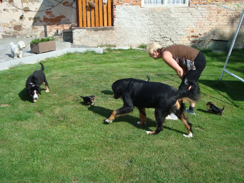 004.JPG
