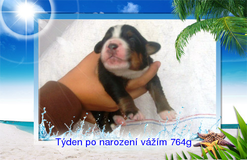 001-Týden po narození.jpg