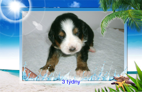 003-Třetí týden.jpg