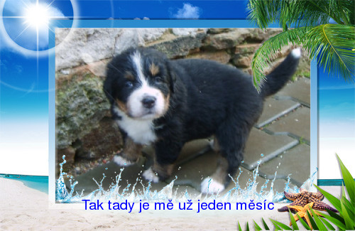 004-Jeden měsíc.jpg